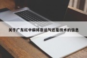 关于广东红中麻将靠运气还是技术的信息