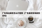 广东海边麻将怎么打视频（广东麻将有海底捞月吗）