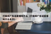 打麻将广东话直播叫什么（打麻将广东话直播叫什么名字）