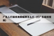 广东人打麻将用胸碰牌怎么打（打广东麻将视频）