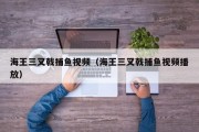 海王三叉戟捕鱼视频（海王三叉戟捕鱼视频播放）
