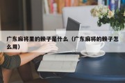 广东麻将里的赖子是什么（广东麻将的赖子怎么用）
