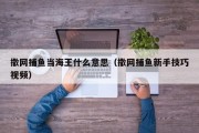 撒网捕鱼当海王什么意思（撒网捕鱼新手技巧视频）
