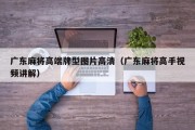 广东麻将高端牌型图片高清（广东麻将高手视频讲解）