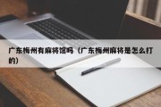 广东梅州有麻将馆吗（广东梅州麻将是怎么打的）
