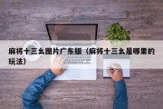 麻将十三幺图片广东版（麻将十三幺是哪里的玩法）