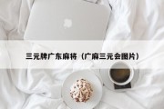 三元牌广东麻将（广麻三元会图片）