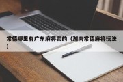 常德哪里有广东麻将卖的（湖南常德麻将玩法）