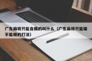 广东麻将只能自摸的叫什么（广东麻将只能碰不能胡的打法）