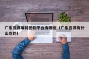 广东云浮麻将团购平台有哪些（广东云浮有什么吃的）