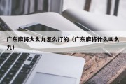 广东麻将大幺九怎么打的（广东麻将什么叫幺九）
