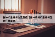 雀神广东麻将血流到底（雀神麻将广东麻将怎么打胜率高）