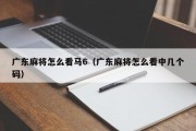 广东麻将怎么看马6（广东麻将怎么看中几个码）