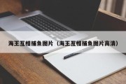海王互相捕鱼图片（海王互相捕鱼图片高清）